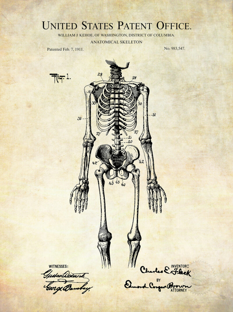 Anatomical Skeleton Design | 1911 Medical Patent