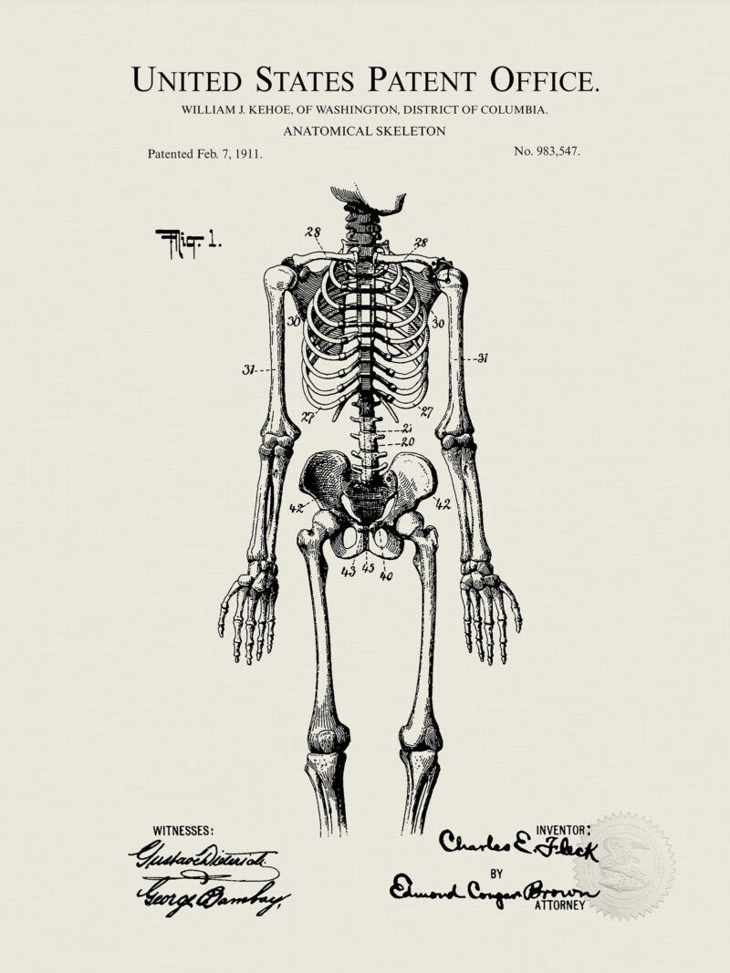 Anatomical Skeleton Design | 1911 Medical Patent
