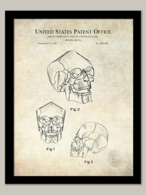 Human Skull Model | 1983 Patent