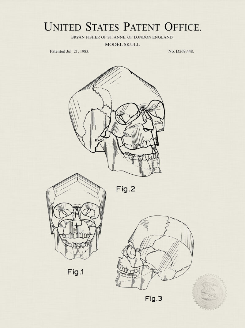 Human Skull Model | 1983 Patent
