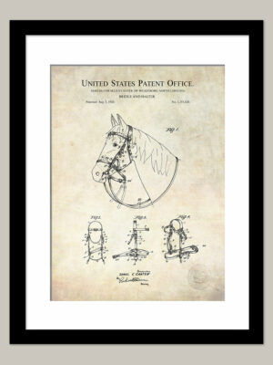 Mailbox Print | 1906 Patent