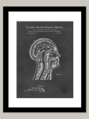 Anatomical Chart Patent